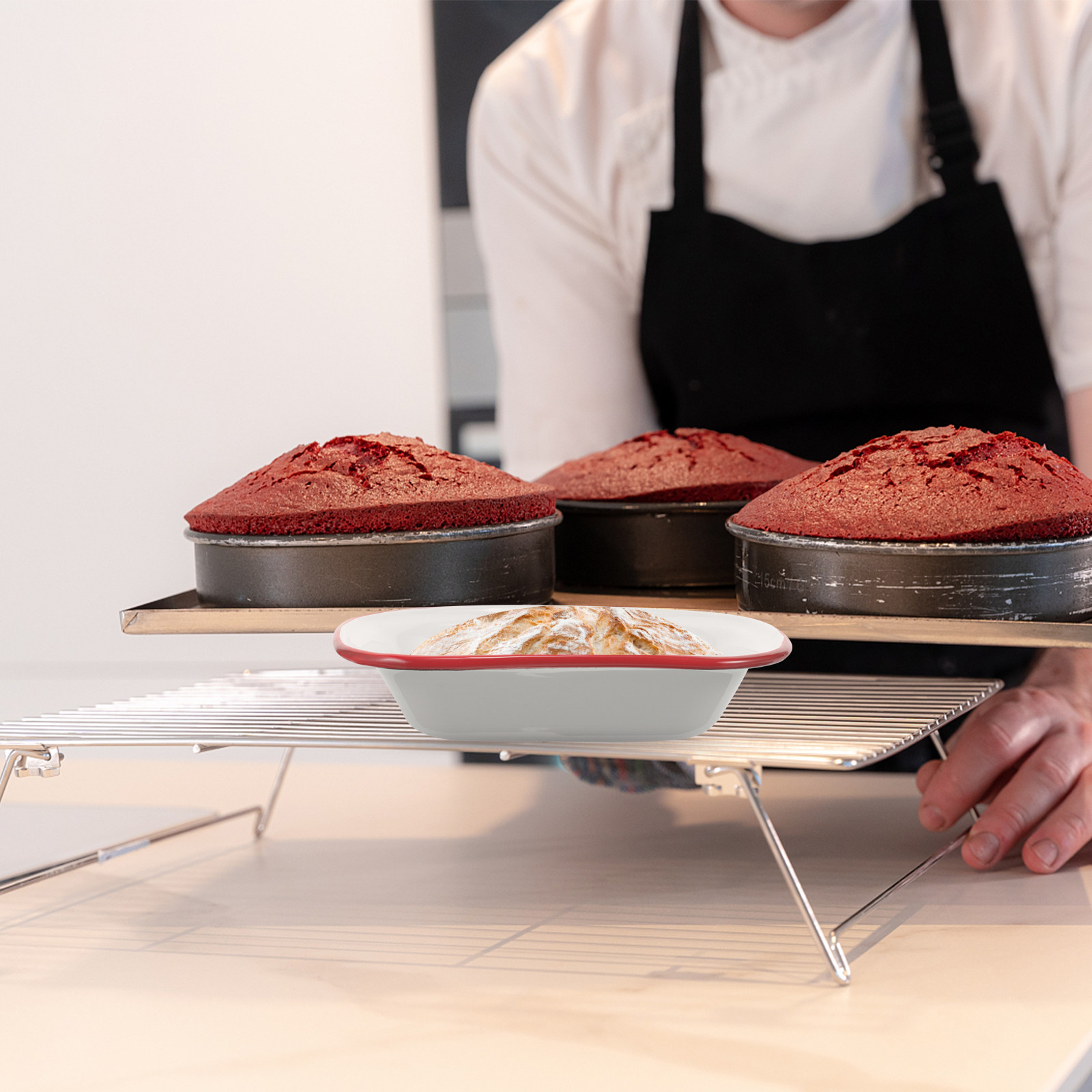 Bandeja para Hornear Rectangul - Kitchen Baking Pan Storage reseña y precio